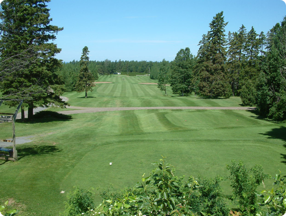 Golf Boule Rock